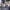 Bus Style Stroller Wagon seats raised twin triplets quads