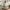 vw2 Volkswagen stroller wagon removable seats