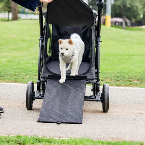 Small dog stepping out of the WonderFold M1 Pet Stroller using a built-in ramp