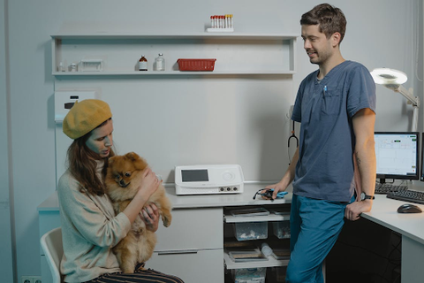 A woman wearing a beret holds her small fluffy dog while talking to a veterinarian in a modern clinic.