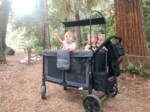 Three toddlers enjoying a WonderFold wagon ride on a nature trail surrounded by redwood trees
